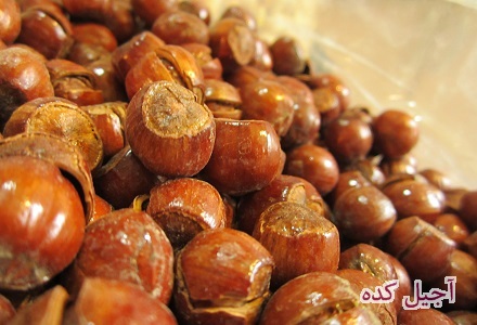 فندق پوست دار ممتاز
